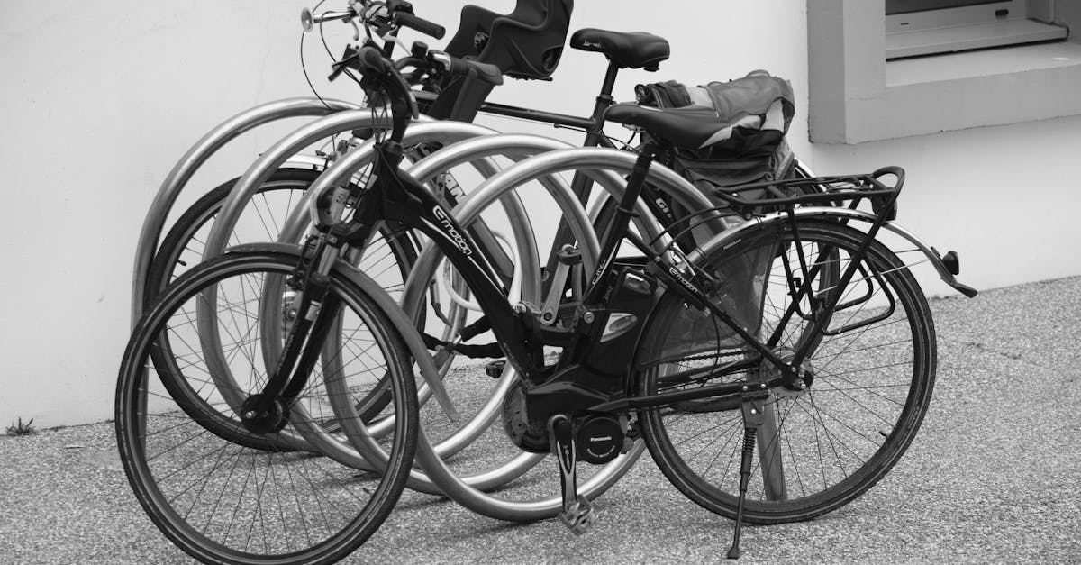 Perché la bicicletta elettrica è così amata oggi?