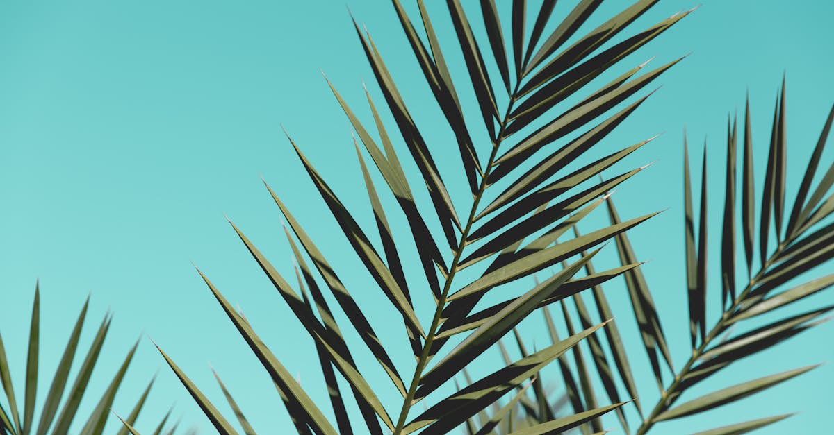 Perché l'aria appare blu quando la osserviamo?