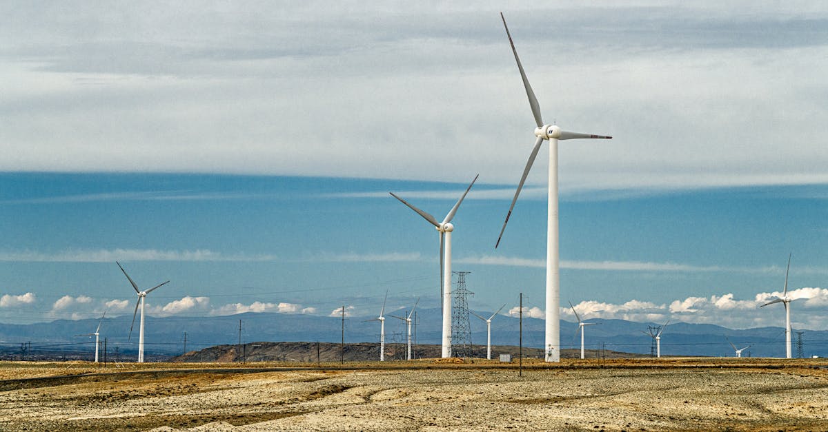 Quali sono le migliori alternative alle vacanze in aereo?