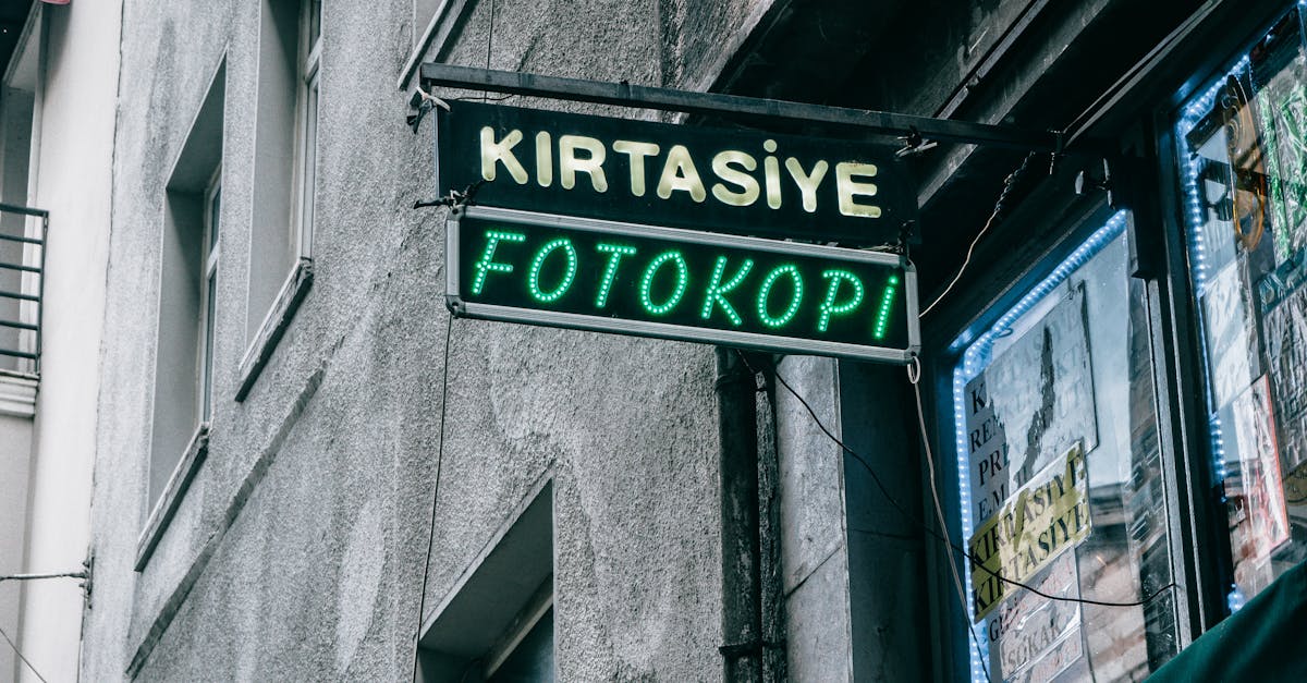 Quanti anni di scuola frequenta in media un europeo?