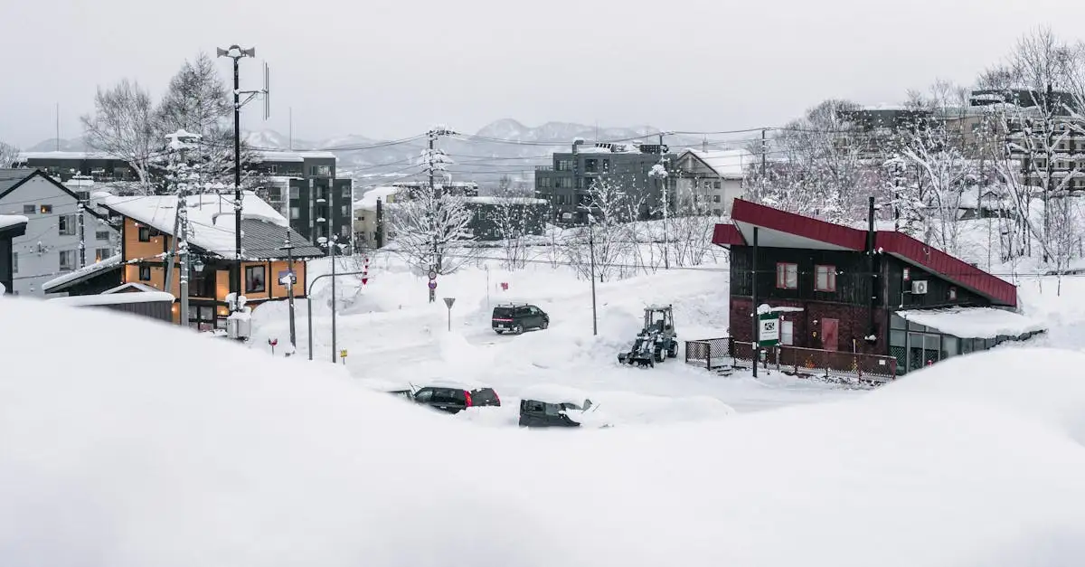 Dove trovare le migliori piste da sci a Niseko, Giappone?