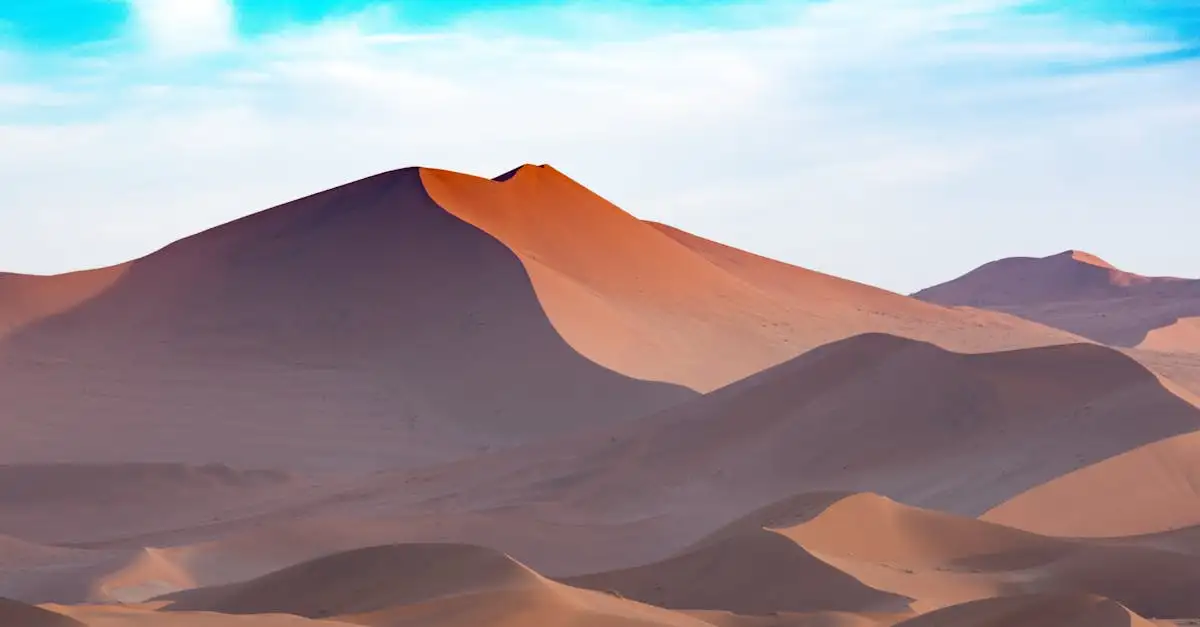Qual è il deserto della Namibia con la Skeleton Coast?
