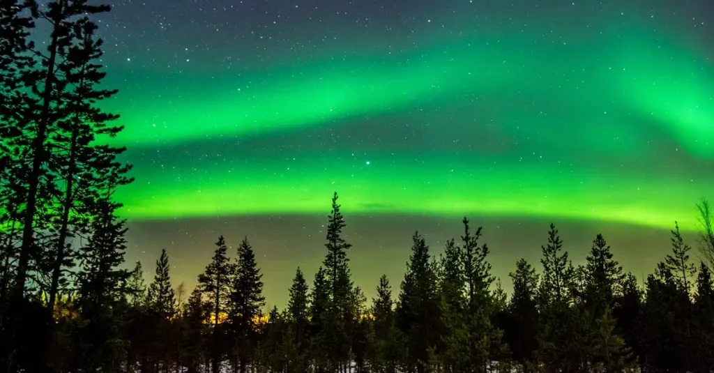 Quali attività ed eventi non perdere in Finlandia?