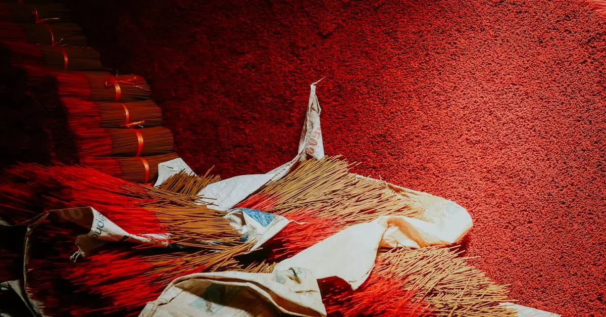 Cosa sono le huaca e come venivano adorate?