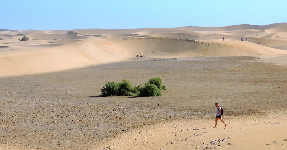 Qual è il deserto più grande del mondo, il Sahara?