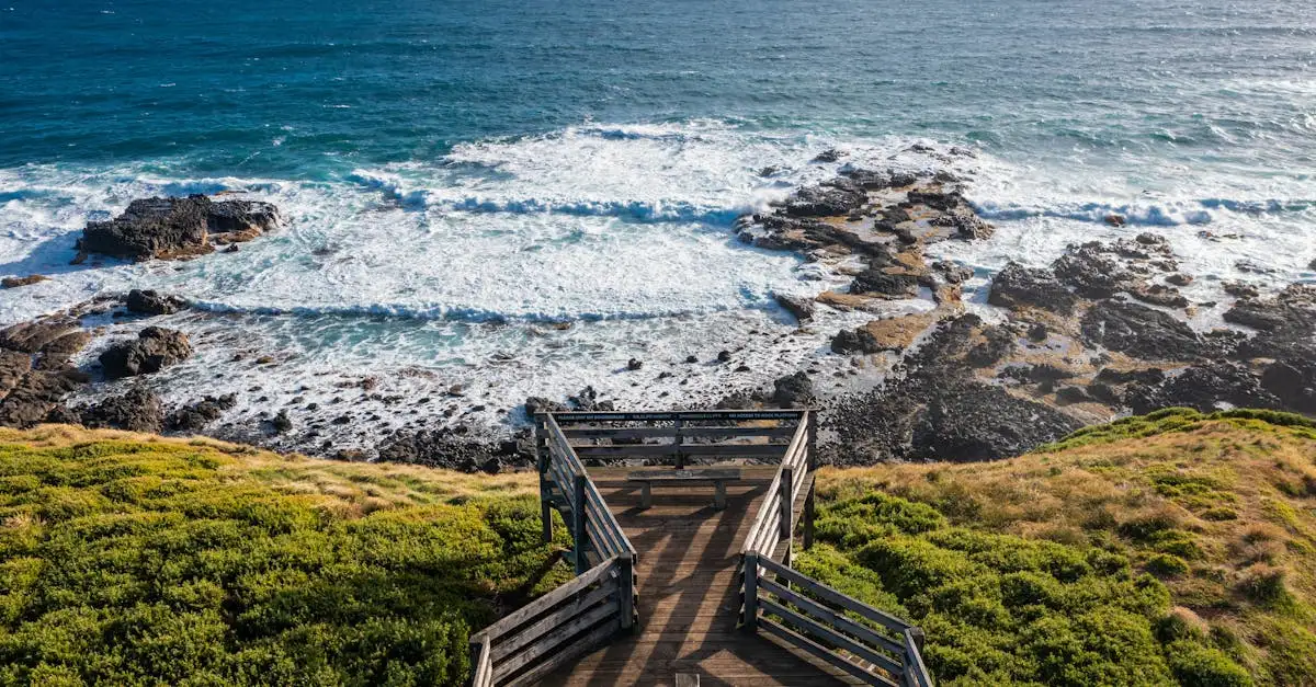 Perché la sfilata dei pinguini di Phillip Island attira tutti?