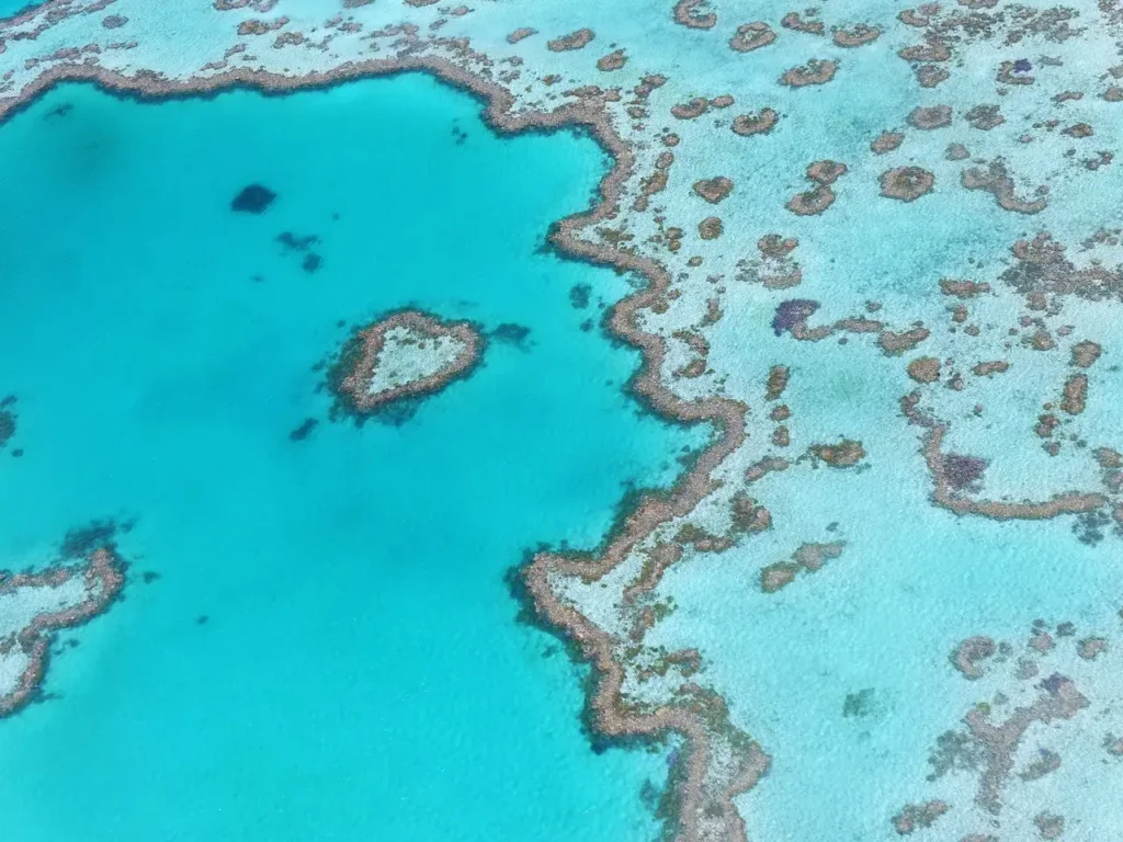 Qual è la città che porta alla Grande Barriera Corallina?