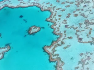 Qual è la città che porta alla Grande Barriera Corallina?