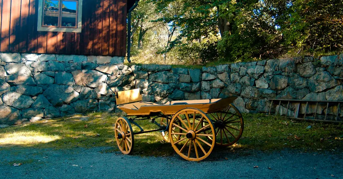 Qual è la storia della Svezia in breve?