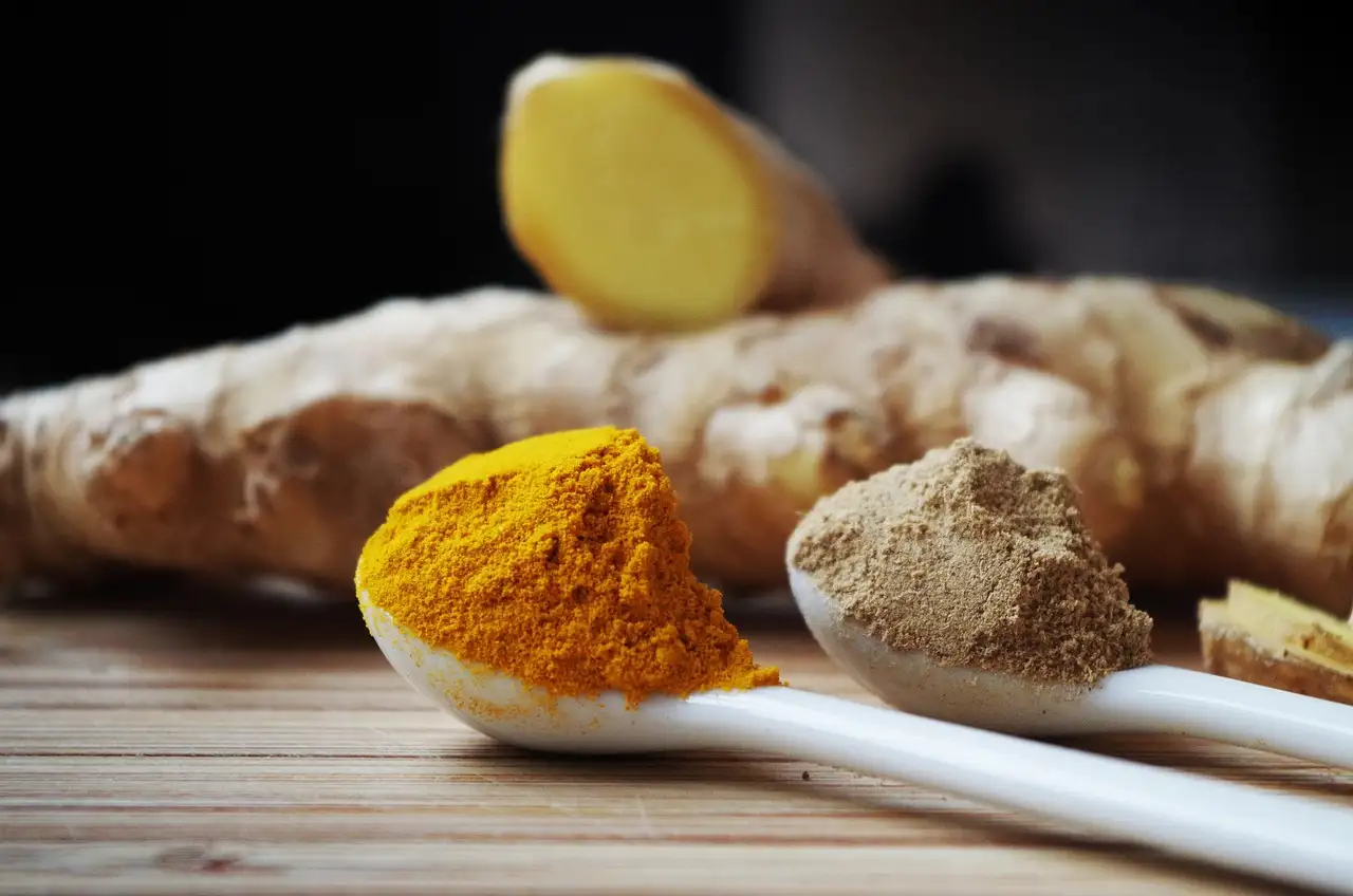 Come aiuta la curcuma a migliorare la tua digestione?