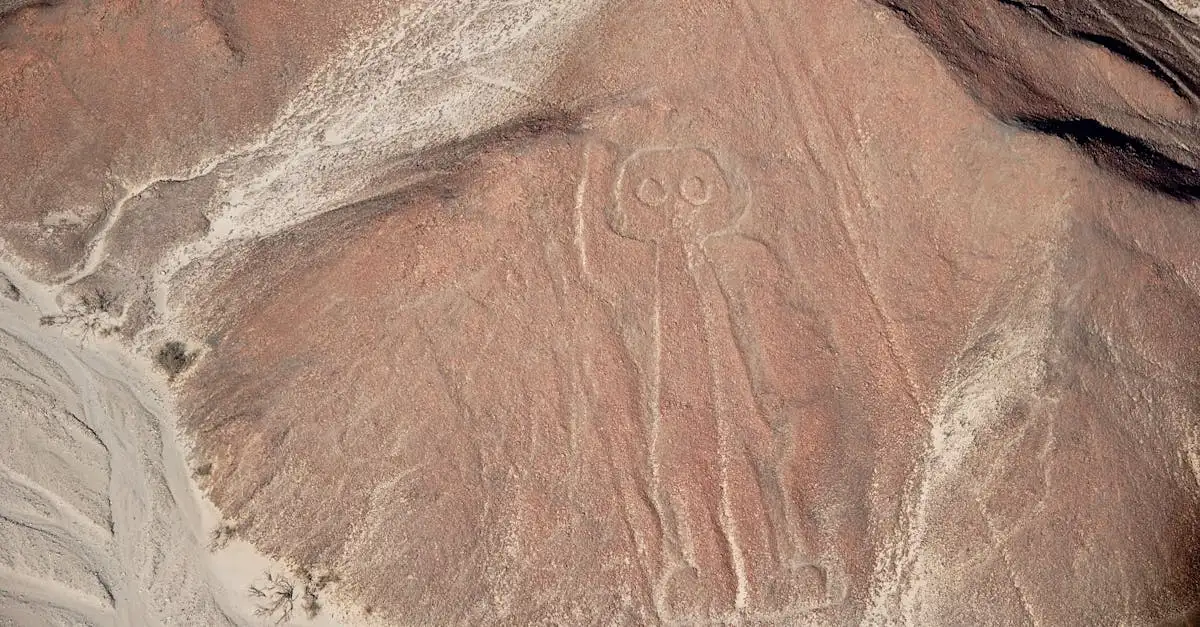 Cosa rivelano le misteriose linee di Nazca in Perù?