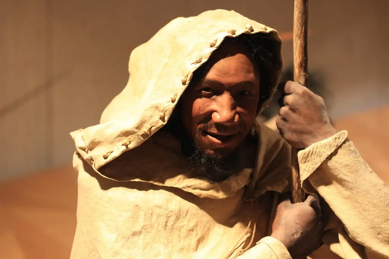 Quali fattori hanno causato l'estinzione dei Neanderthal?