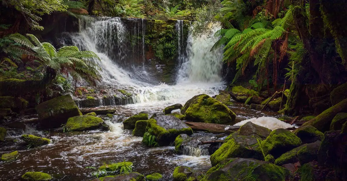 Quale nazione scoprì la Tasmania nel 1600?