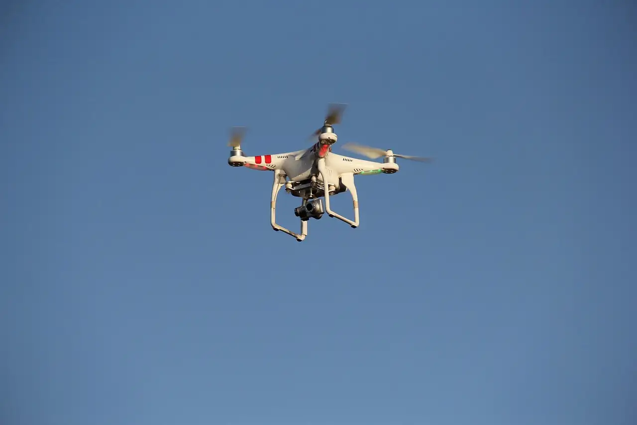 Quali tecnologie monitorano la migrazione degli uccelli?