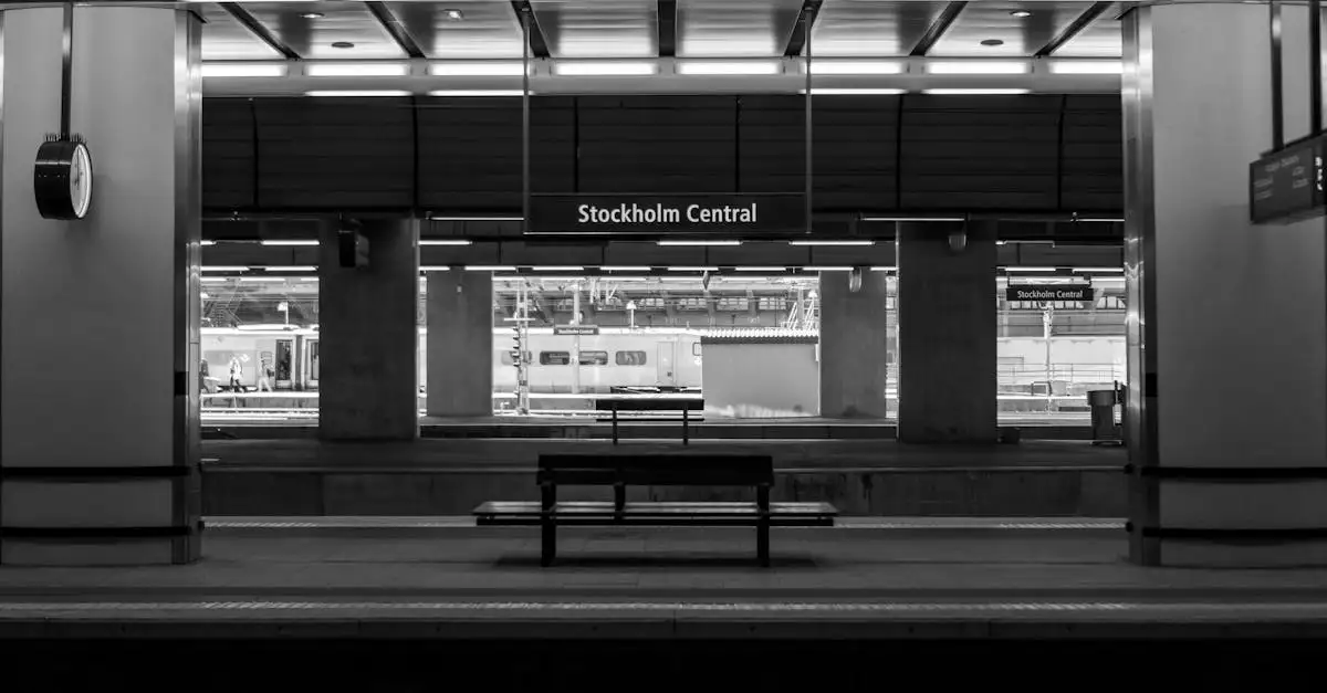 Qual è l'impatto della privatizzazione sulle ferrovie?