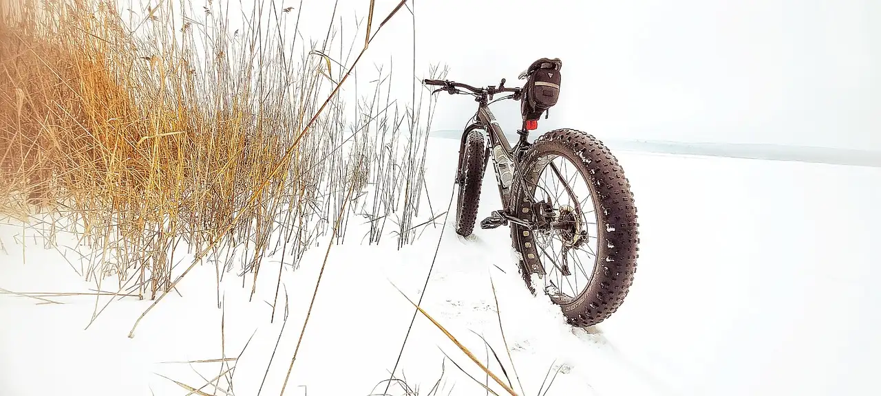 Quanto pesa una fatbike? Scopri il peso medio!