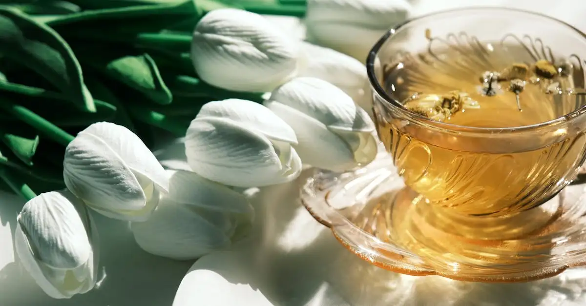 A cosa serve il tè di verbena? Scopri i suoi benefici!