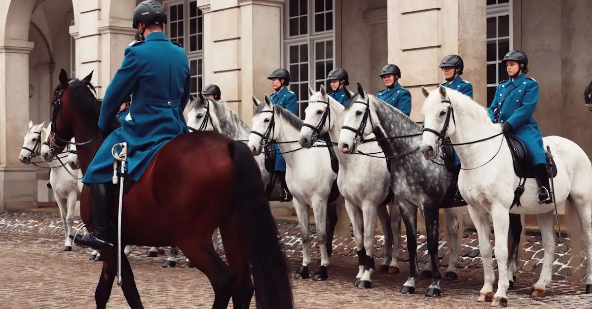 Cosa fare in Danimarca? Scopri attività ed eventi imperdibili!