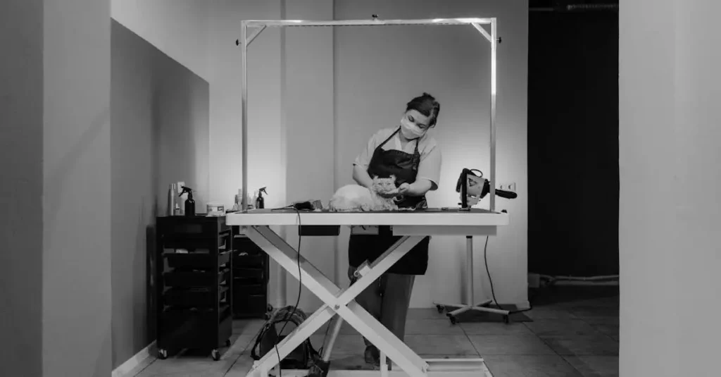 Perché sverminare regolarmente i gatti è fondamentale?