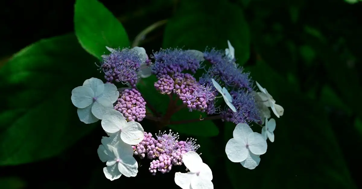 Quali colori si abbinano bene al viola? Scopri di più!