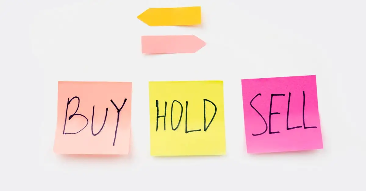 Quali sono le migliori opzioni per la tua scelta?