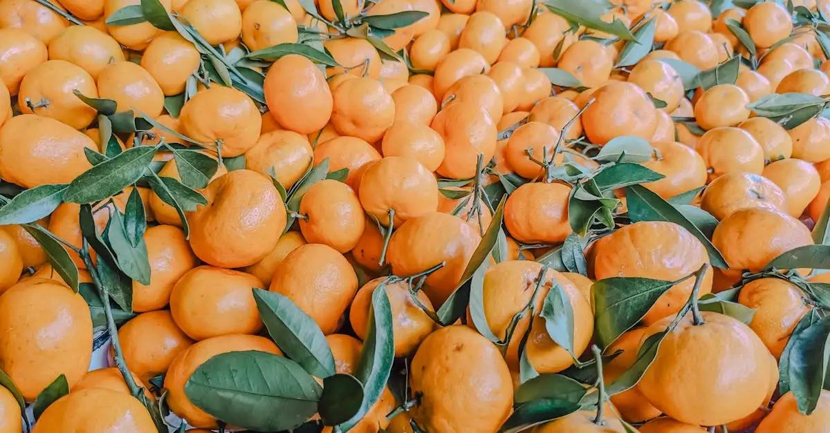 A cosa serve la vitamina B12? Scopri i benefici!
