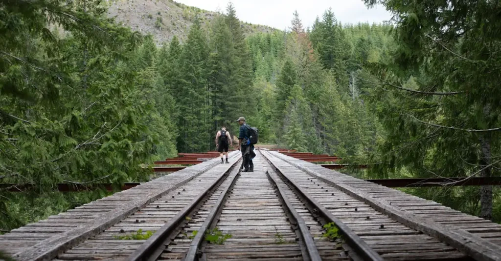 Come funzionavano i binari di legno e il traino nel XVI secolo?