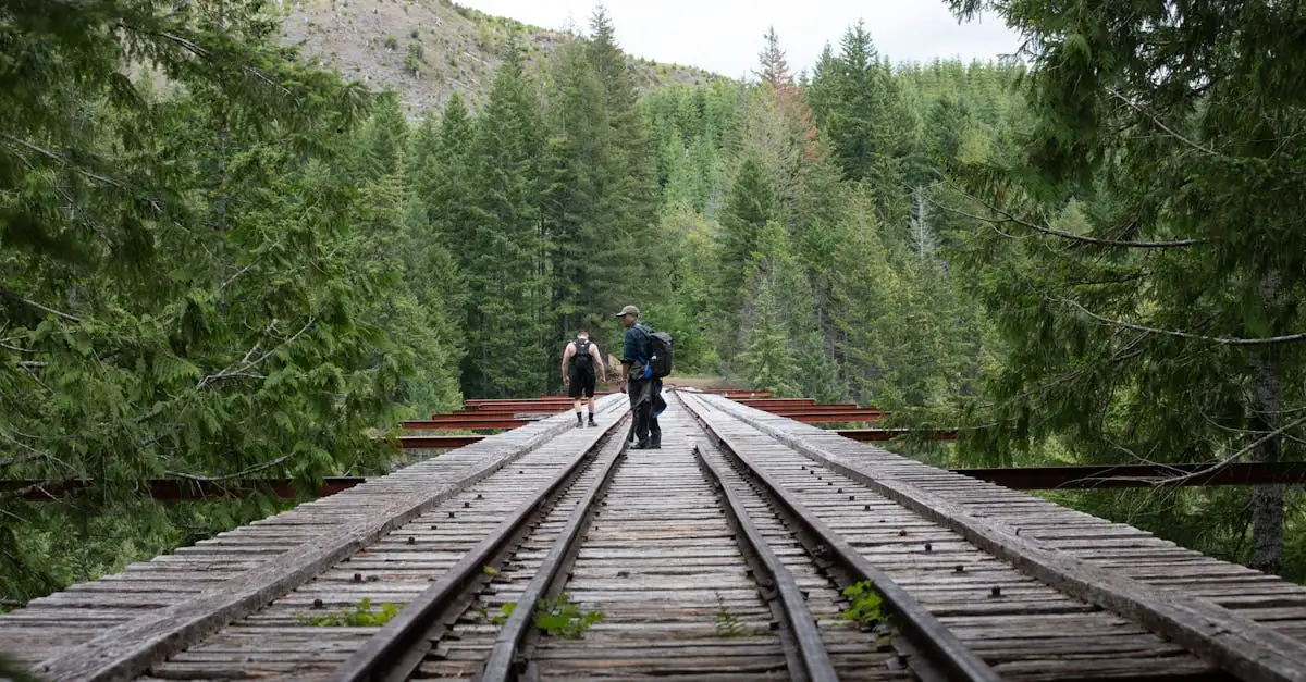 Come funzionavano i binari di legno e il traino nel XVI secolo?