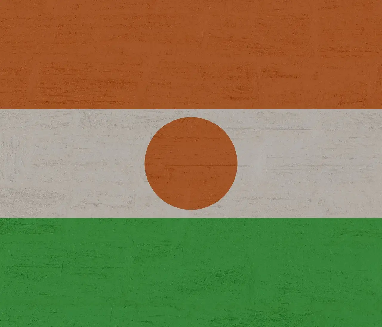 Cosa sapere sul Niger? Scoprilo in questo articolo!