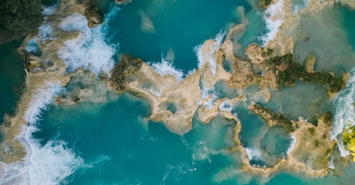 Cosa scoprire nell'Amazzonia del Brasile?