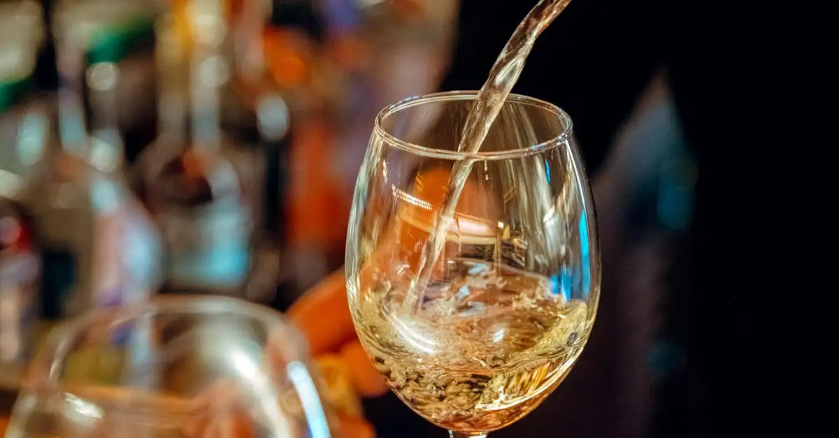 Qual è il vino perfetto da abbinare alla bouillabaisse?