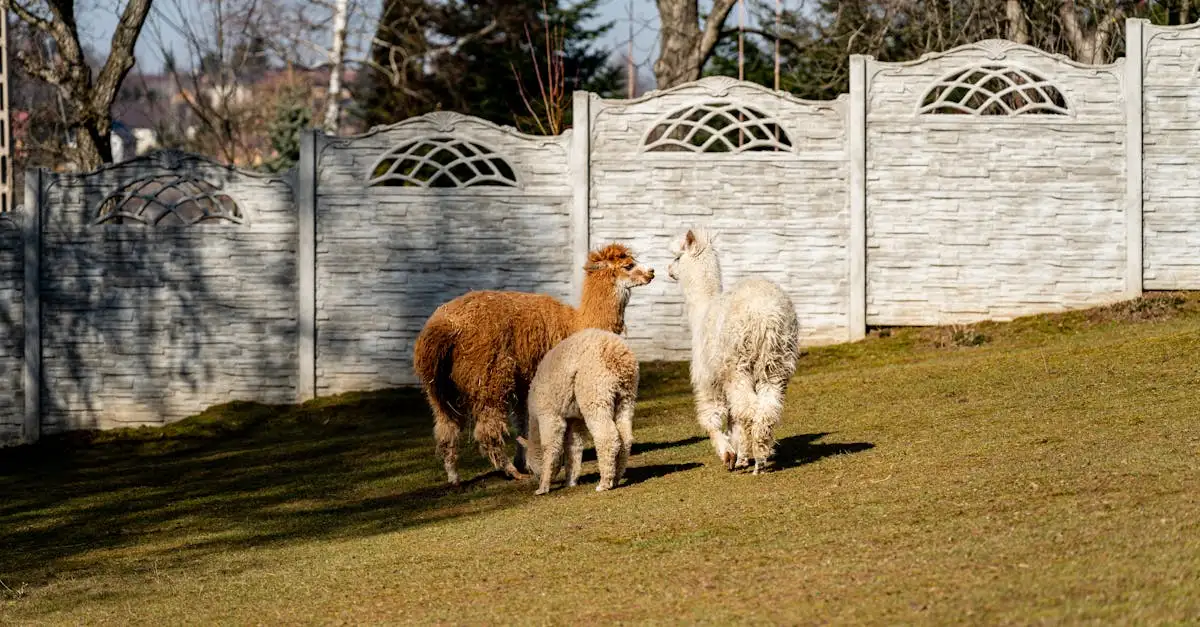 Quale animale domestico è ideale per te? Scoprilo ora!