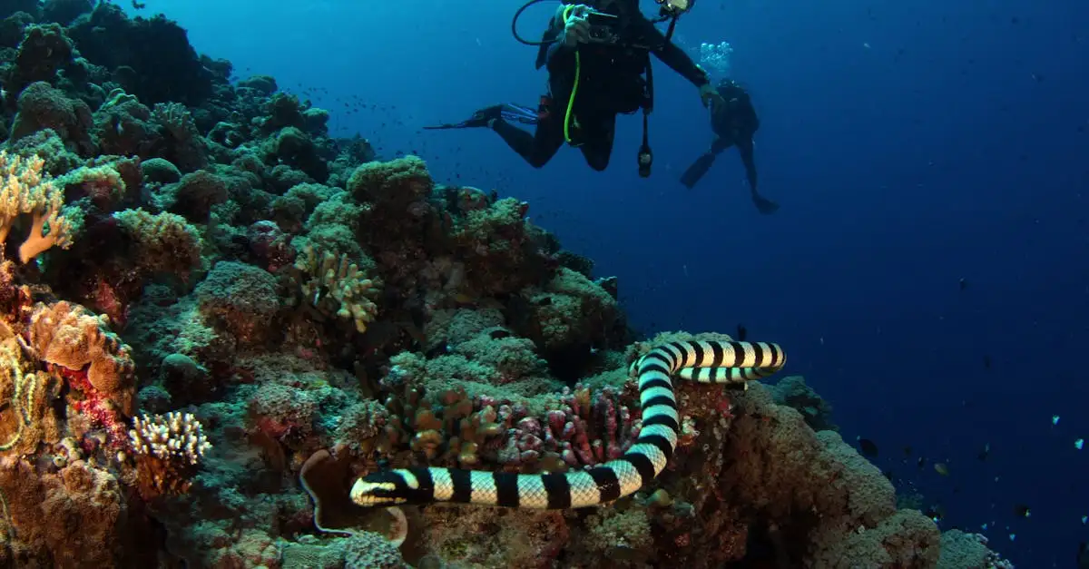 Chi è Ananta, il dio dei serpenti e dell'oceano?