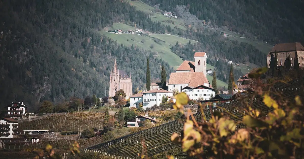 Quale vino abbinare al tonnato tartare? Scopri le scelte!